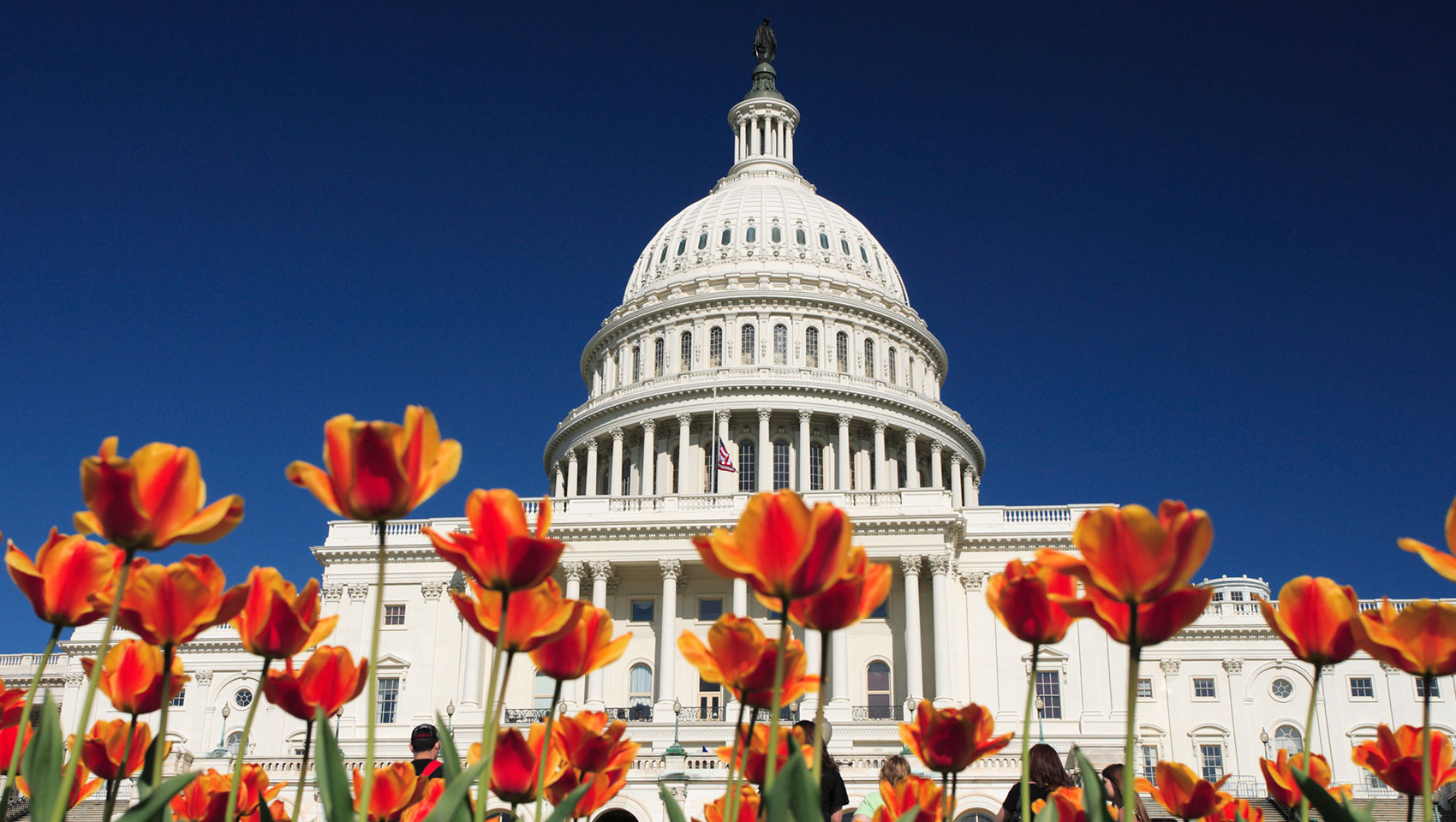 capitol building washington DC