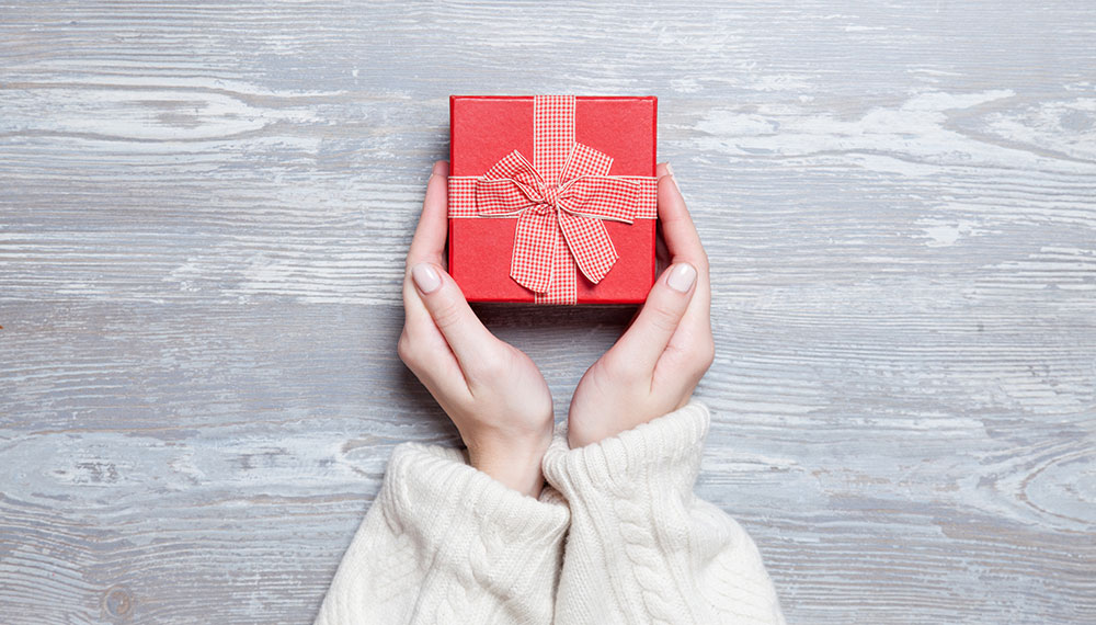 Hands holding a holiday gift