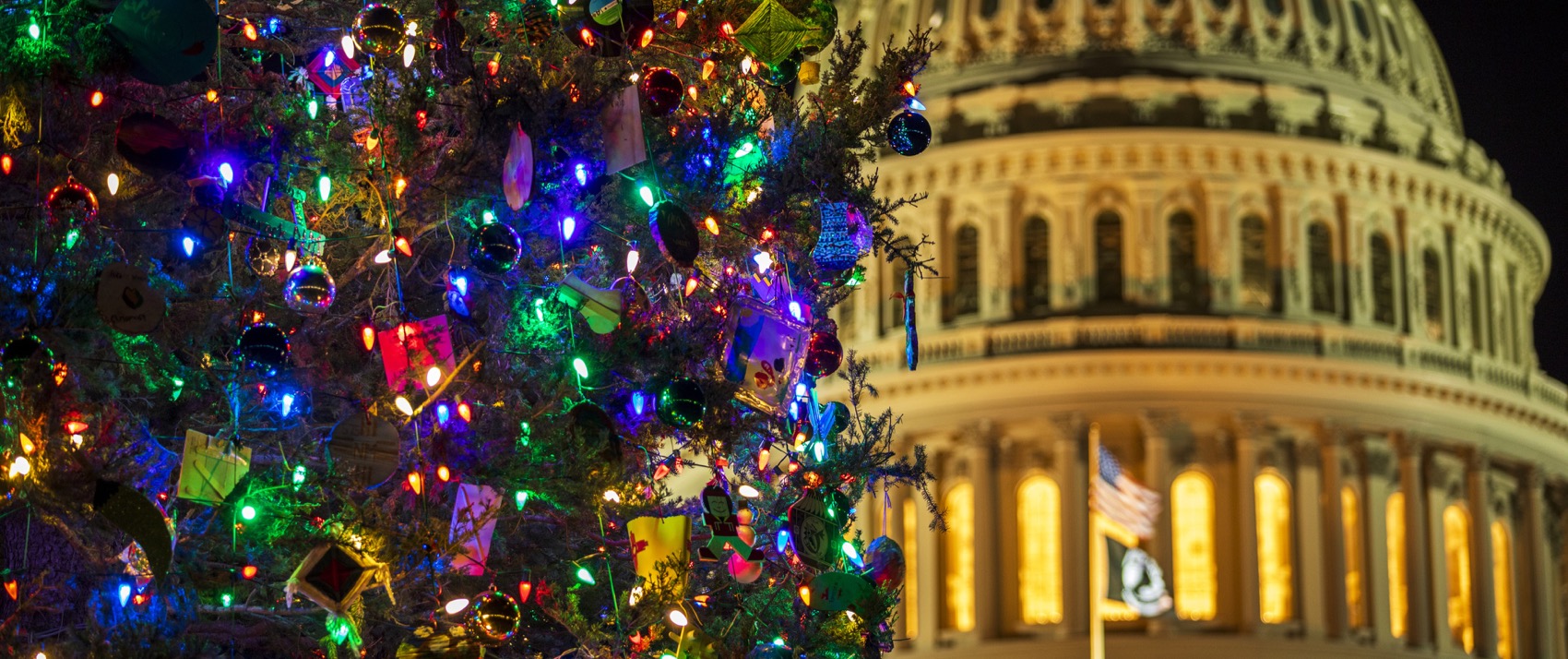 Holiday lights in front of the Capitol building in DC